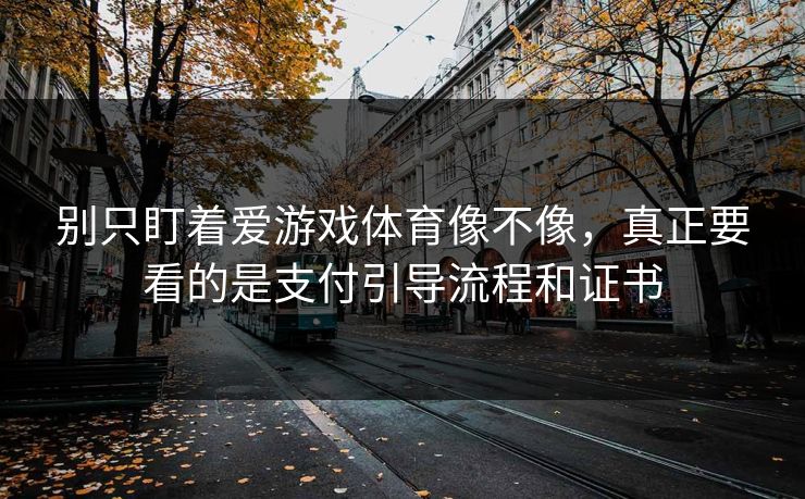 别只盯着爱游戏体育像不像，真正要看的是支付引导流程和证书